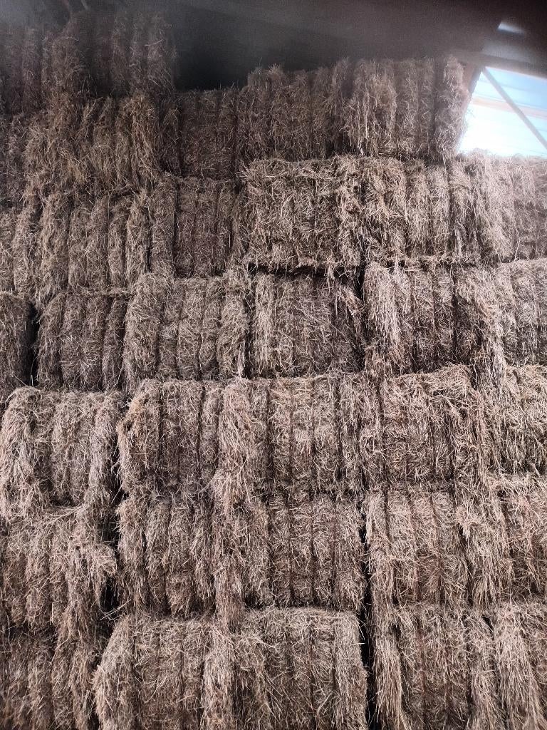 Grote balen biologisch hooi, Dieren en Toebehoren, Dierenvoeding, Ophalen, Vee