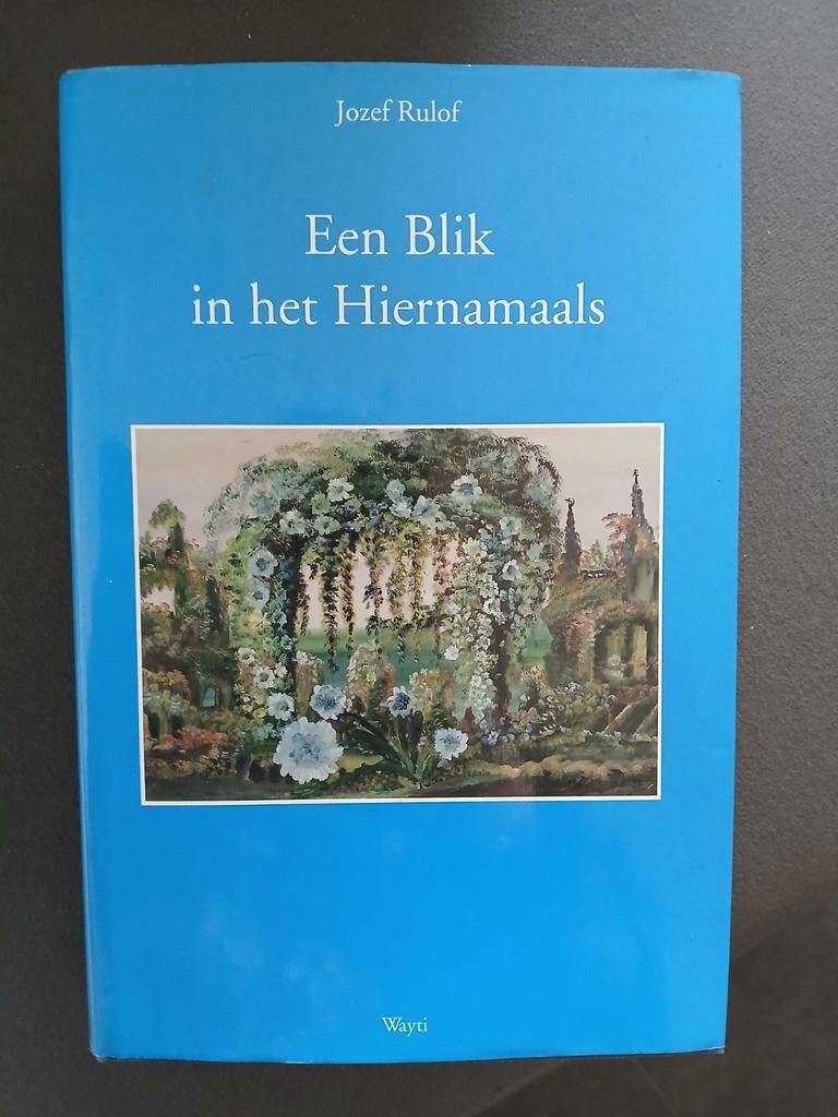 Jozef Rulof - Een blik in het hiernamaals, Boeken, Ophalen of Verzenden, Zo goed als nieuw, Jozef Rulof