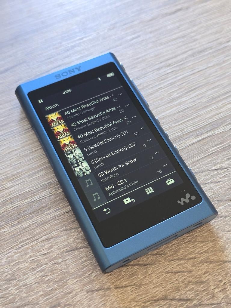 Sony NW-A55L High-Resolution Digital Music Player and DAC, Ophalen, Zo goed als nieuw, 1500 GB of meer