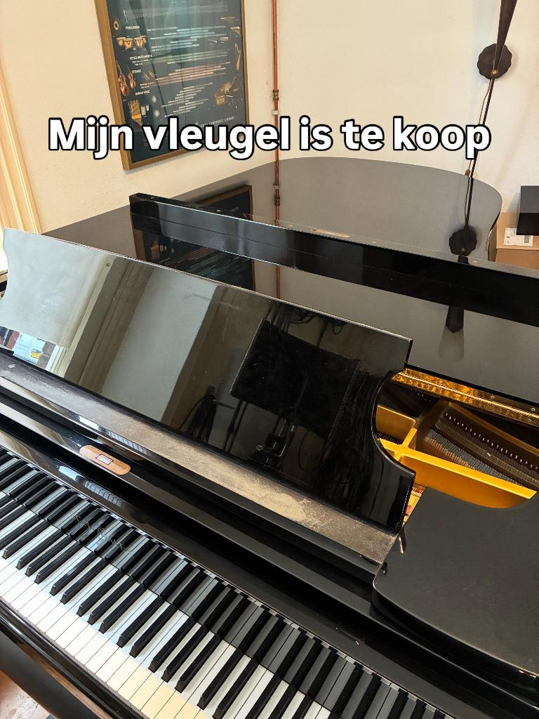 vleugel, Ophalen, Gebruikt, Zwart, Hoogglans