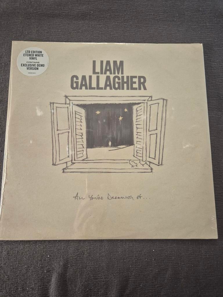 Lp Liam Gallagher All You're Dreaming of..., Ophalen of Verzenden, Nieuw in verpakking, 12 inch, Poprock