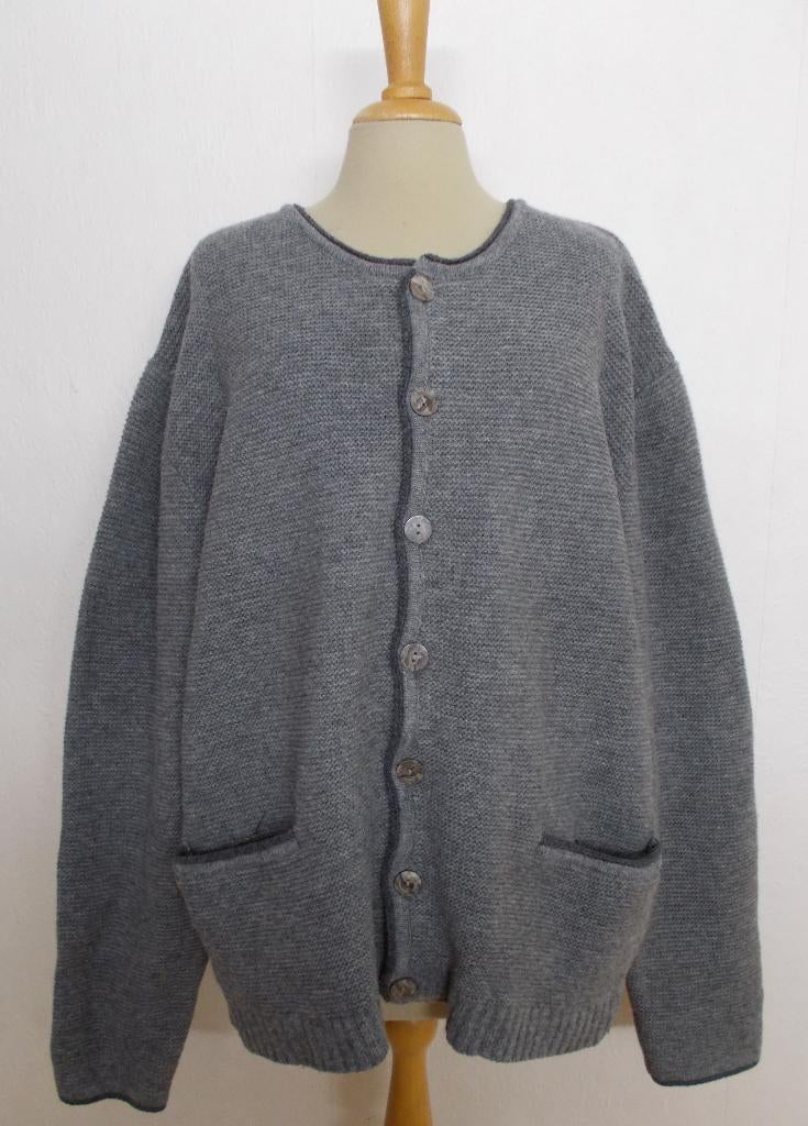 Mooi 100% wollen grijs vest van Marco Donati! 54, Verzenden, Zo goed als nieuw, Maat 52/54 (L), Grijs