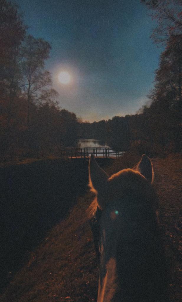 Ter lease aan geboden op locatie, Ophalen, Overige soorten