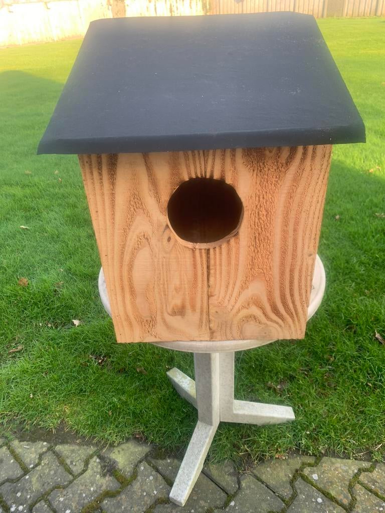 Bosuilen kast handgemaakt op bestelling leverbaar, Ophalen of Verzenden, Nieuw