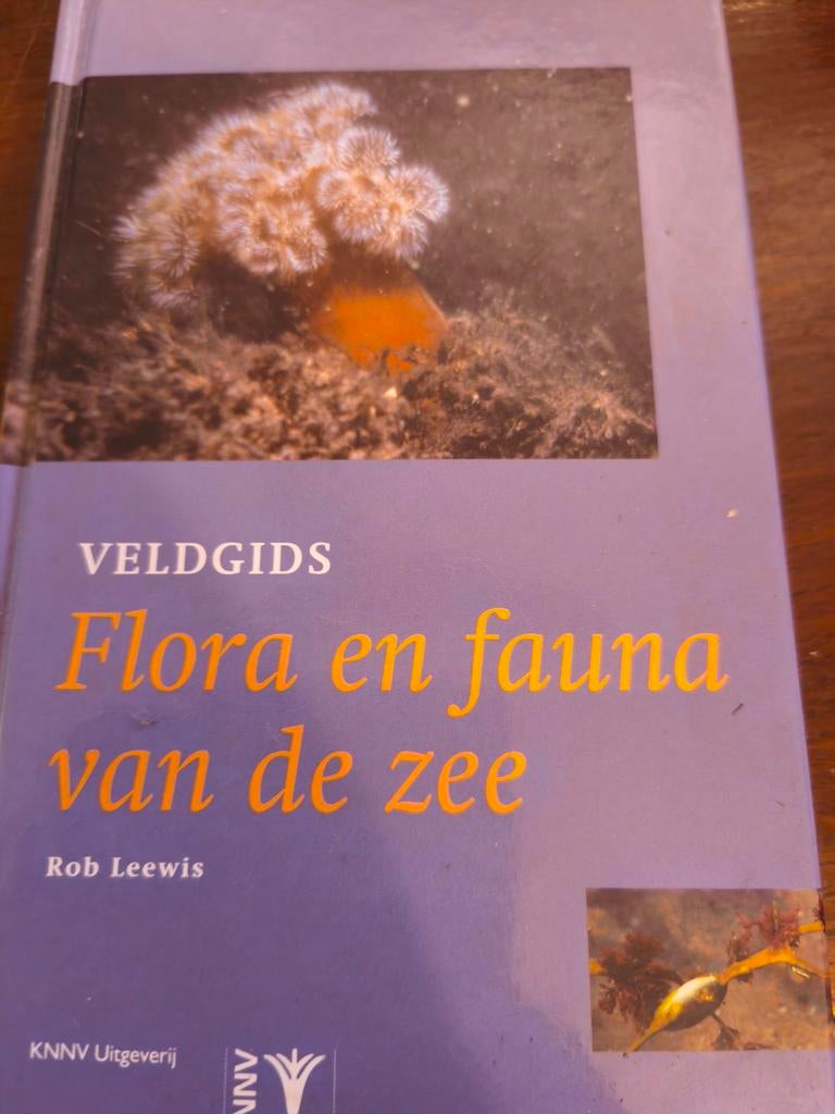 Flora en fauna van de zee - Rob Leewis, Ophalen of Verzenden, Zo goed als nieuw, Natuur algemeen, Rob Leewis