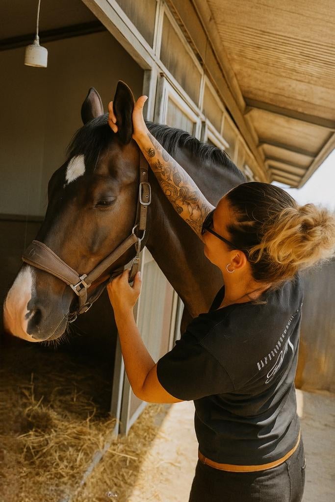 Behandeling voor paarden – Massage, taping & aromatherapie, Dieren en Toebehoren, Ophalen of Verzenden