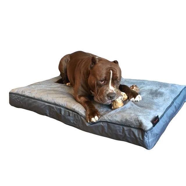 honden kussen Bully xxl, Ophalen of Verzenden, Nieuw, Overige