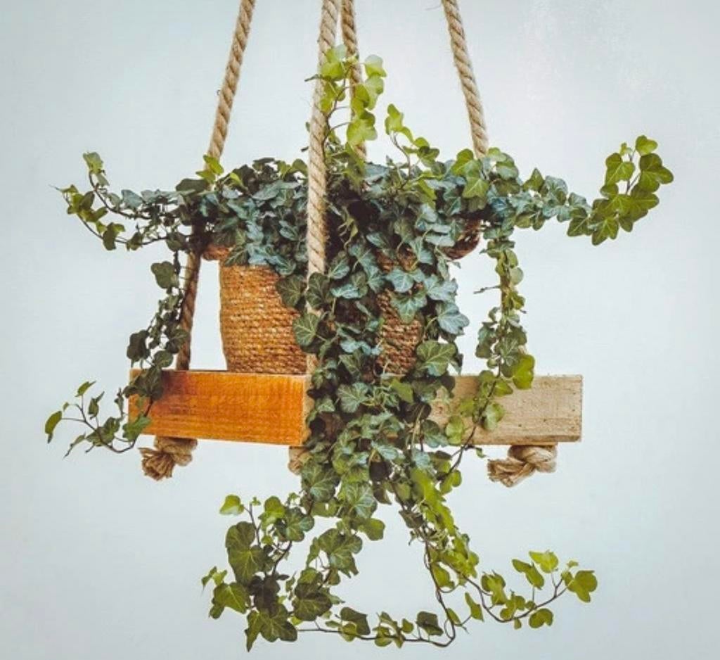 Senza hangend dienblad, Minder dan 30 cm, Minder dan 60 cm, Vierkant, Nieuw