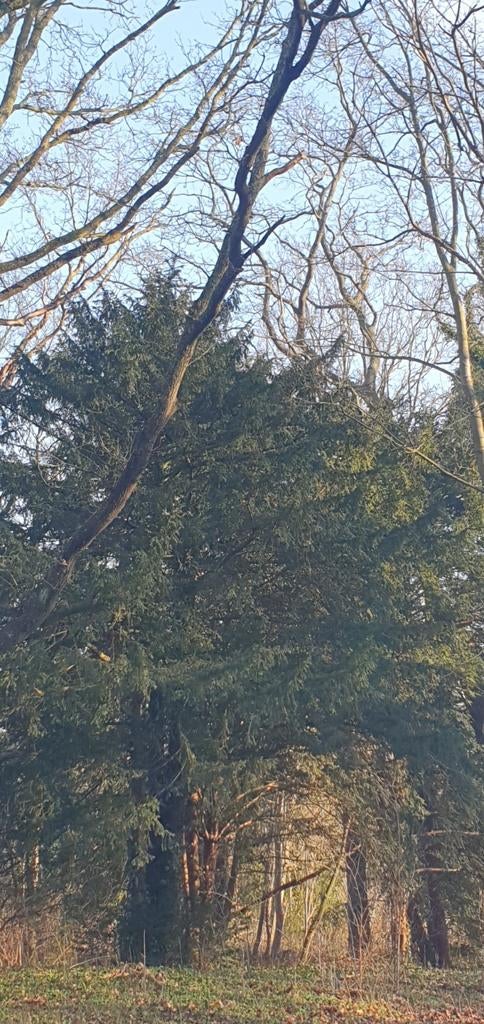 Woonruimte aangeboden € 410,- Castricum, Huizen en Kamers, Kamers te huur