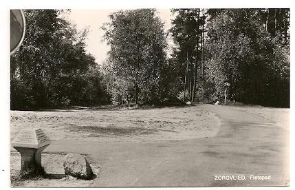 PJ43-Zorgblied,Fietspad,A.N.W.B. paddestoel,, Verzenden, Ongelopen, Drenthe