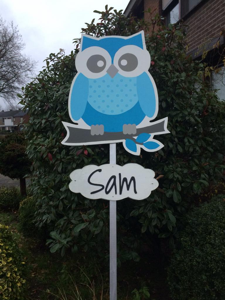 Geboortebord uil met wolkje voor naam, Kinderen en Baby's, Kraamcadeaus en Geboorteborden, Ophalen, Gebruikt, Geboortebord