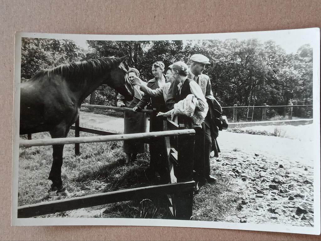 Mensen bij een paard jaren 30-50, Ophalen of Verzenden, Voor 1940, Gebruikt, Kind