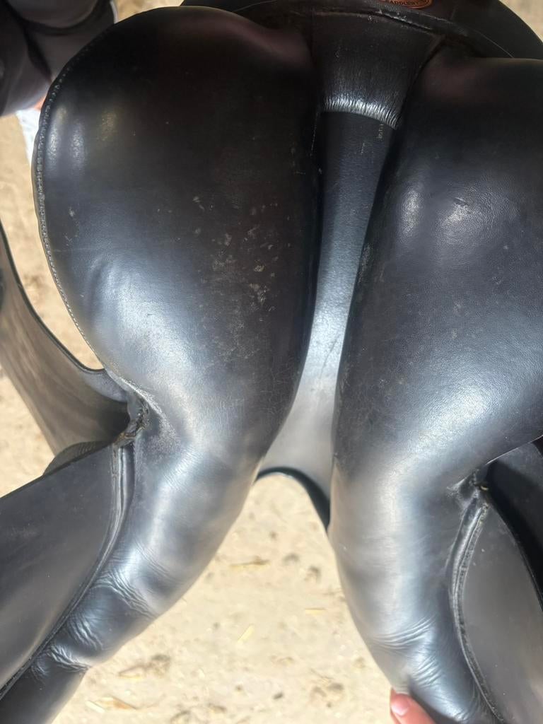 Merano, Ophalen, Gebruikt, Overige soorten