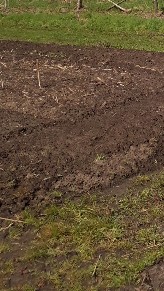 TUINTJE.HUISJE, ZORG .BEL,KLEIN. Arnhem, Ede, Amerfoort.., Ophalen of Verzenden, Volle zon