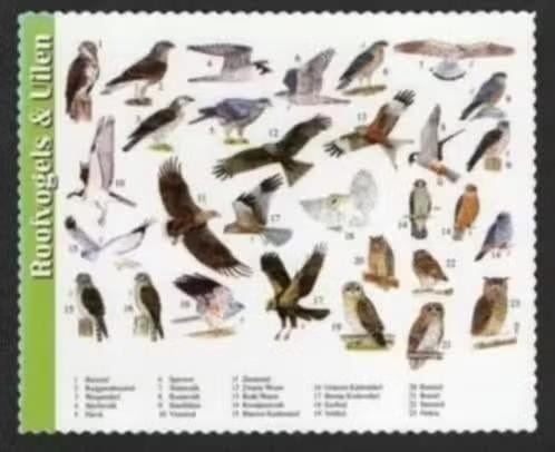 Roofvogels Uilen Buizerd Sperwer Wouw Kerkuil Bosuil Oehoe., Ophalen of Verzenden, 1980 tot heden, Ongelopen, Vogel