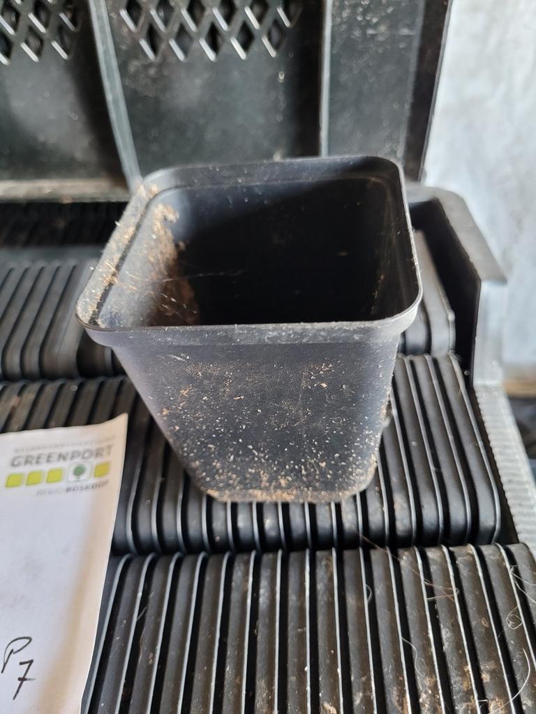 P8 kleine kweekpotjes, Tuin en Terras, Kweekspullen, Ophalen, Gebruikt, Kweekbak