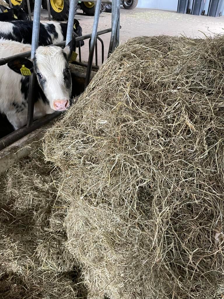 Voordrooghooi hooi kuil rondebalen oogst 2025