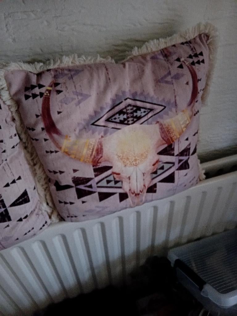 Sierkussens, Ophalen of Verzenden, Zo goed als nieuw, Overige kleuren, Vierkant