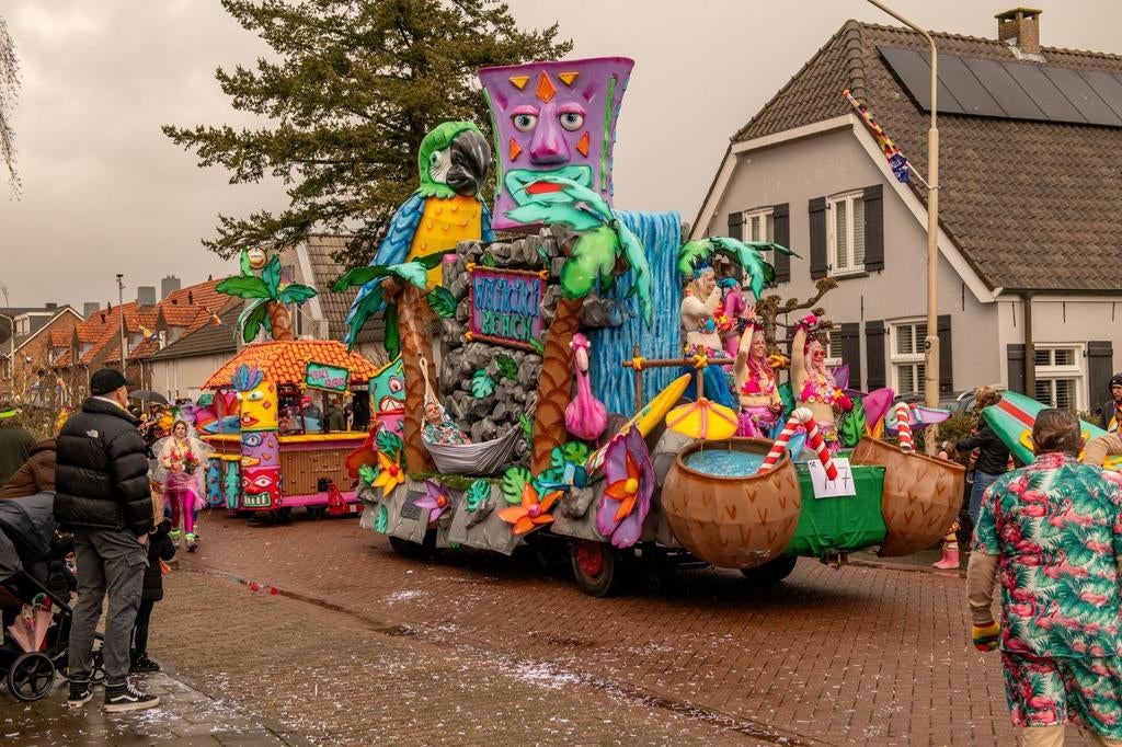 Carnavalswagen en/of attributen, Hobby en Vrije tijd, Feestartikelen, Ophalen of Verzenden, Versiering