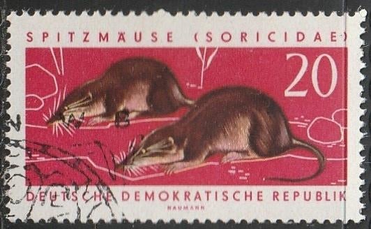 DDR 1962 871 Spitsmuis, Gest, Ophalen of Verzenden, DDR, Gestempeld