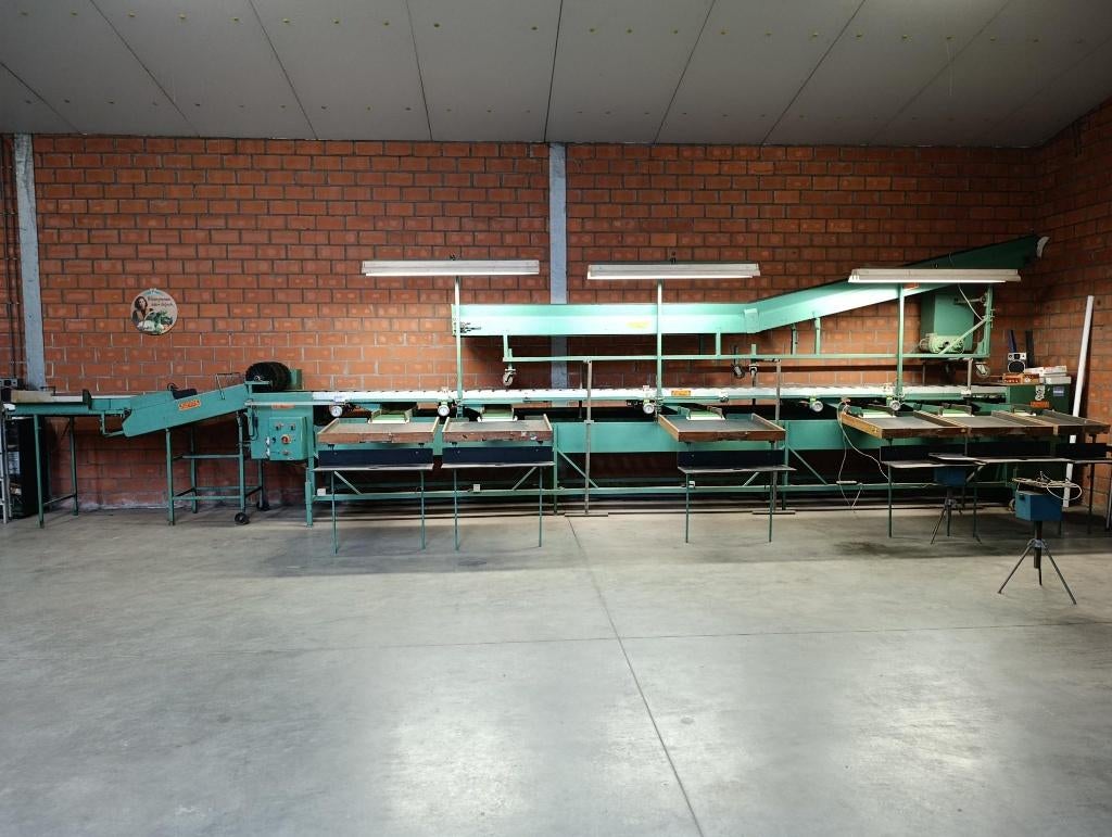 sorteermachine tomaten appelen fruit groenten trieermachine, Ophalen, Gebruikt, Overige soorten