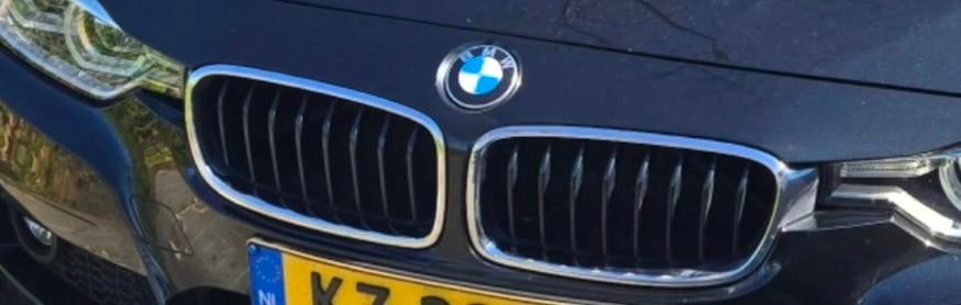 Orginele BMW grill nieren F31, Ophalen