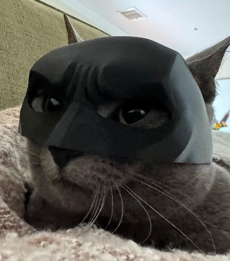 Batman Katmasker, Dieren en Toebehoren, Katten-accessoires, Nieuw, Ophalen of Verzenden