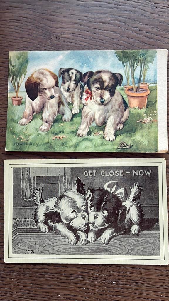 3 honden en slak. 2 honden ‘Get close now’, Ophalen of Verzenden, Overige thema's