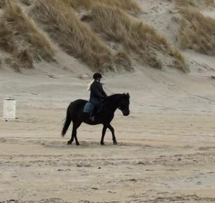 Verzorger aangeboden, Ophalen of Verzenden