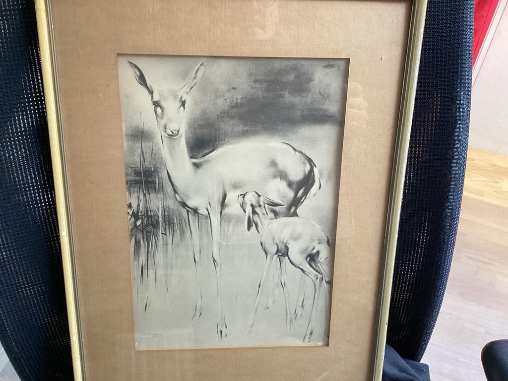 Hertjes afbeelding in lijst 42x 31, Ophalen