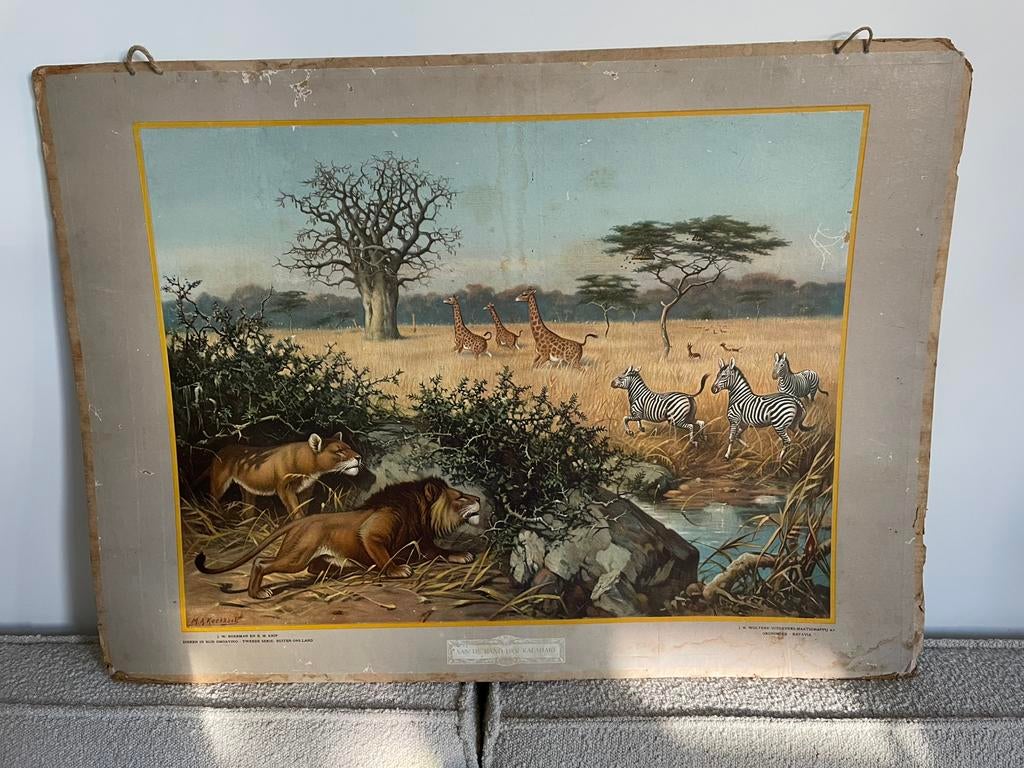 Vintage schoolplaat Wolters - Koekkoek, Antiek en Kunst, Ophalen, Natuur en Biologie