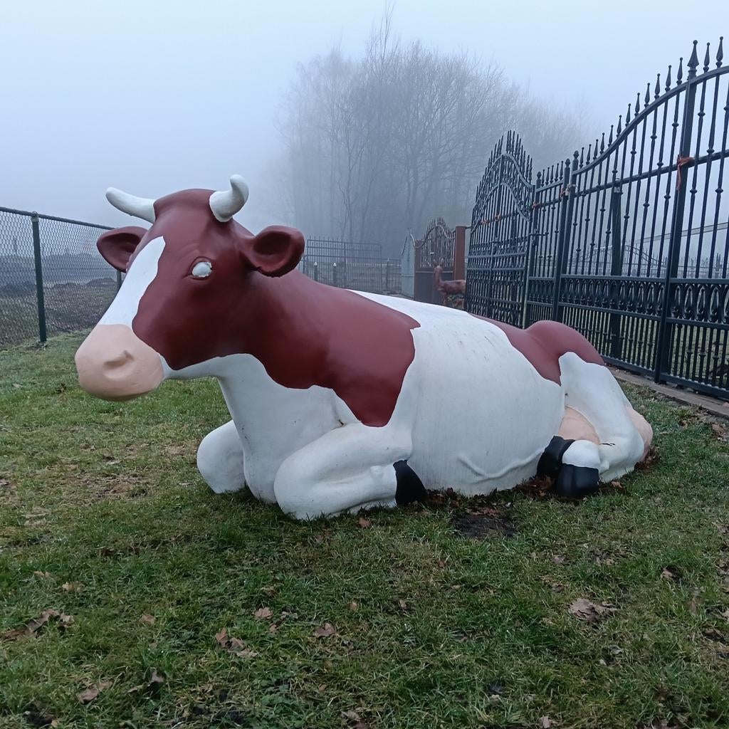 Mooie liggende levensgrote koe, Ophalen