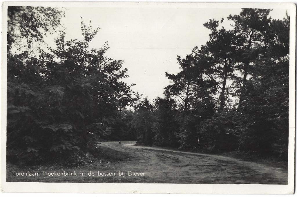 Diever, Torenlaan. Hoekenbrink bij Diever. Opruimingskaart, Verzenden, 1940 tot 1960, Gelopen, Drenthe