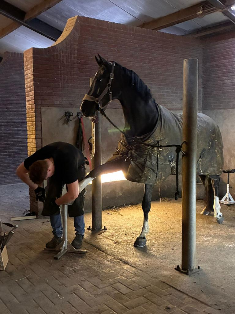 Hoefsmid., Verzorging of Verzorgpony's