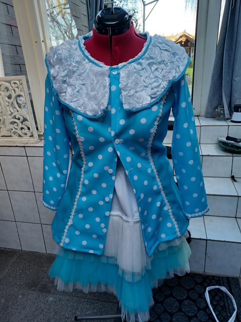 Karnavalspakje, Ophalen of Verzenden, Zo goed als nieuw, Maat 38/40 (M), Carnaval