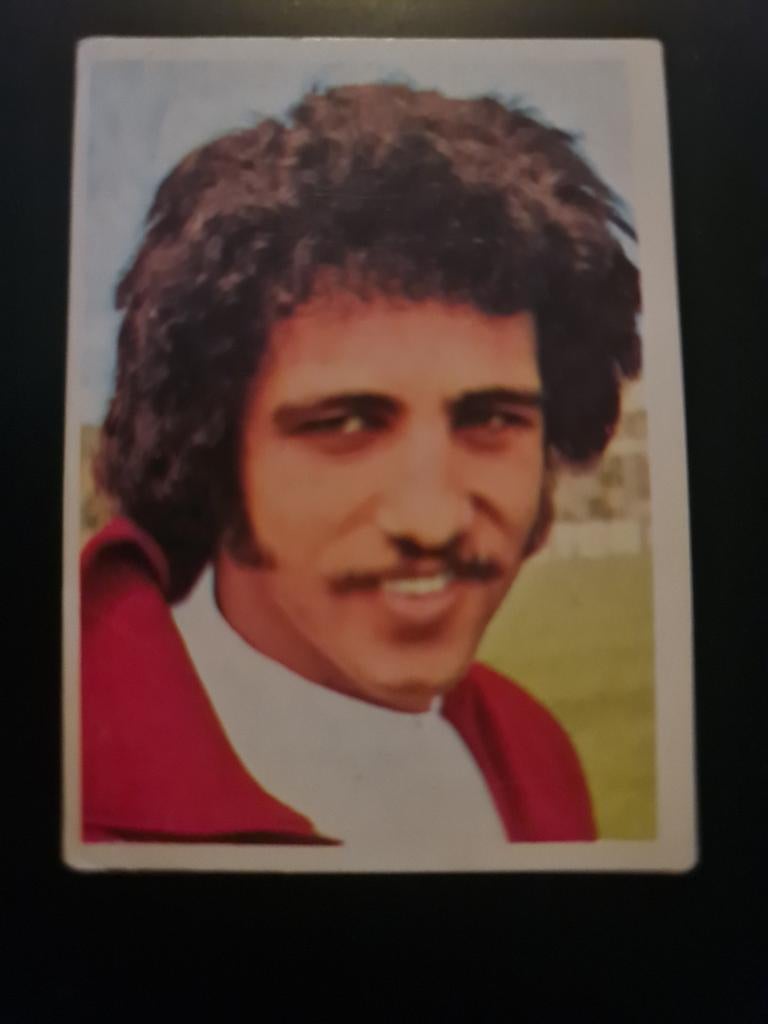 FC Den Haag Spelerskaart 1973-1974 Thijs van Wijngaarden, Verzamelen, Sportartikelen en Voetbal, Ophalen of Verzenden, Nieuw, Feyenoord