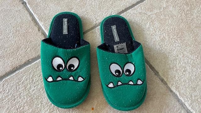 Sloffen dino maat 35-36 groen, Ophalen of Verzenden, Gebruikt, Jongen of Meisje, Overige typen