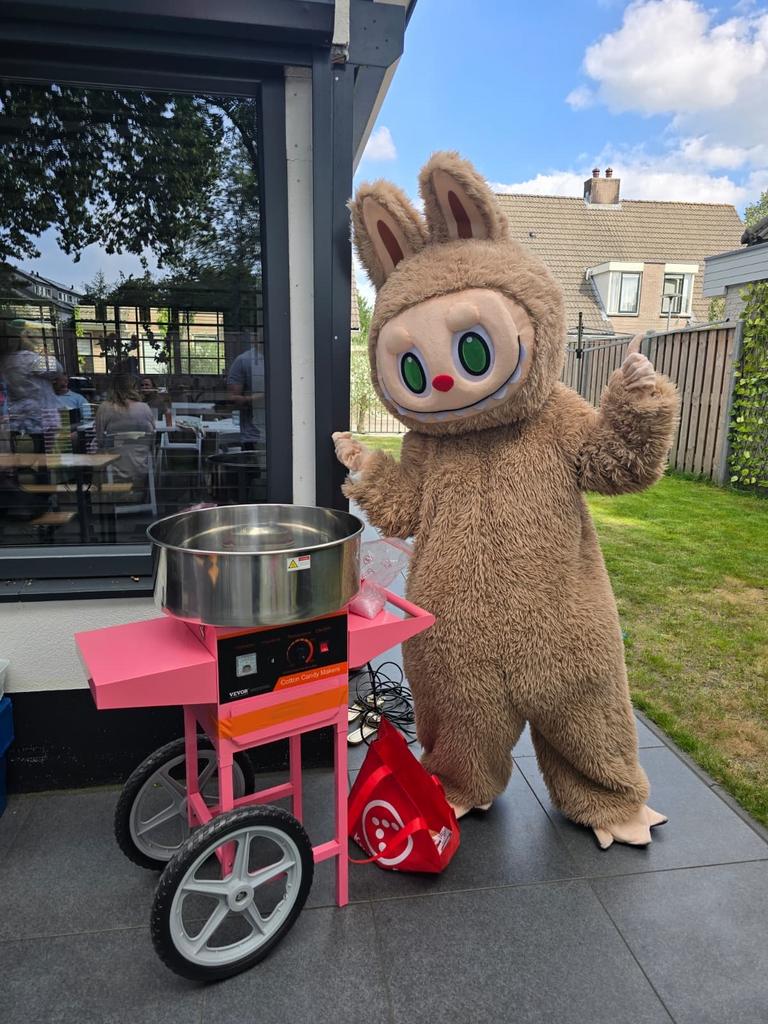 Suikerspin machine, 33 - 40 uur, Overige niveaus, Starter, Overige vormen