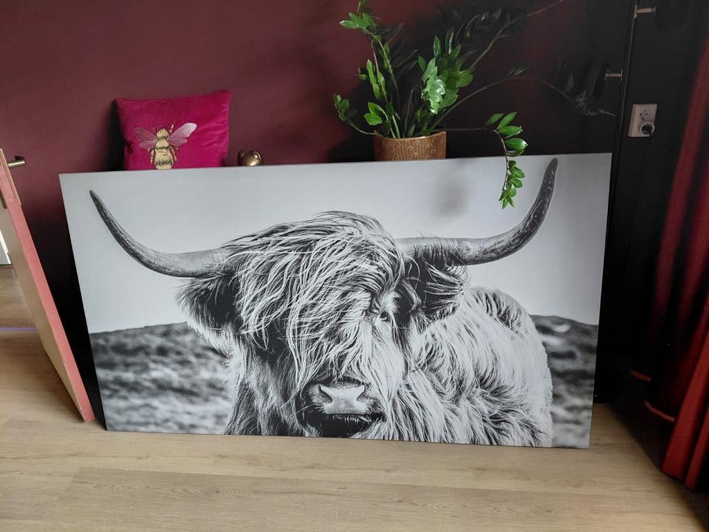 Schilderij Schotse hooglander 100x180, Ophalen, 125 cm of meer, 75 cm of meer, Print