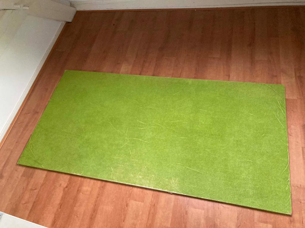 Plank met gras voor bijv. treinbaan 95 x 190 cm, dikte 16 mm, Ophalen of Verzenden