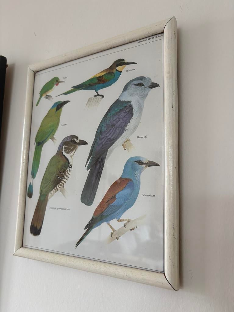 Vogel schilderijtje vintage jaren 60, Ophalen of Verzenden