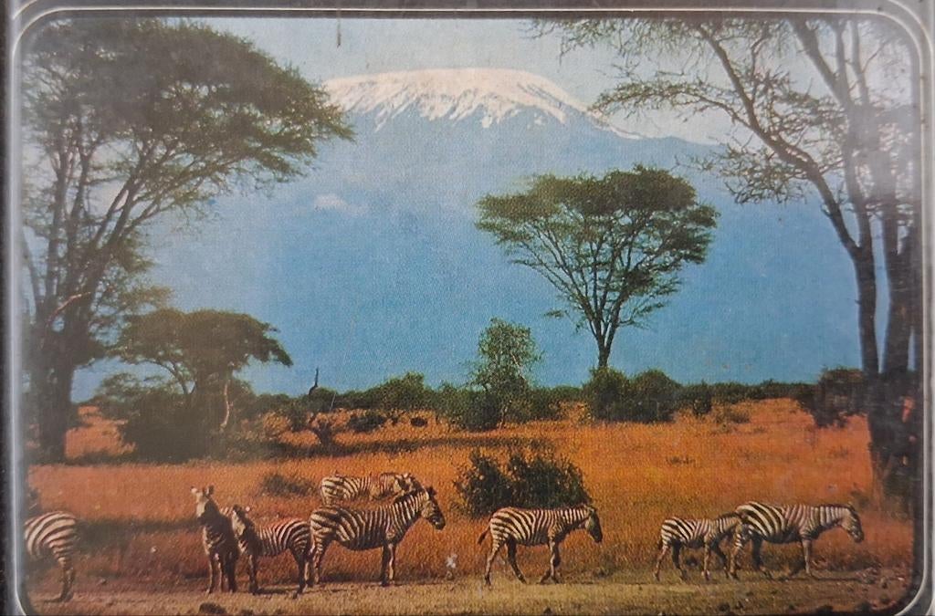 Safari - Robert Ruark (25), Boeken, Wereld overig, Robert Ruark, Ophalen of Verzenden, Zo goed als nieuw