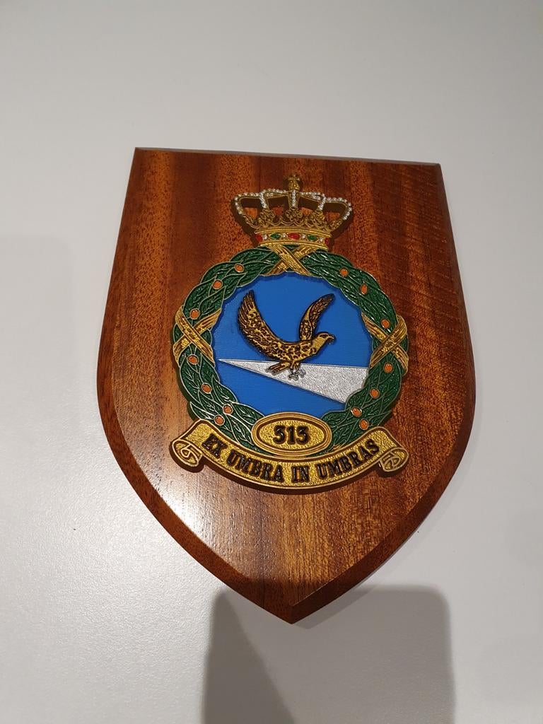 Houten Wapenschildje 313 Squadron KLU, Ophalen