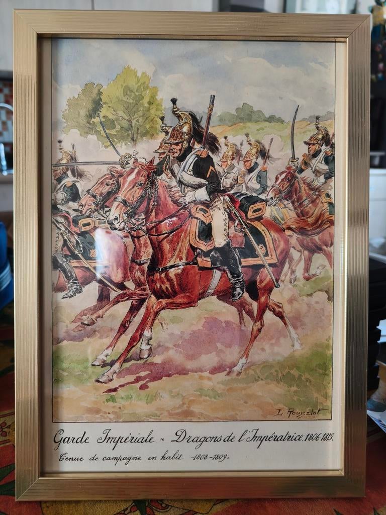 Napoleon, Verzamelen, Militaria | Algemeen, Landmacht, Nederland, Ophalen of Verzenden