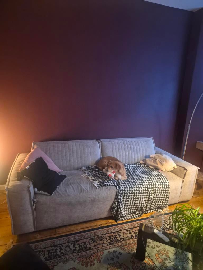 Gratis bank ophalen op 8 of 9 april, Ophalen, Gebruikt, Driepersoons, 75 tot 100 cm