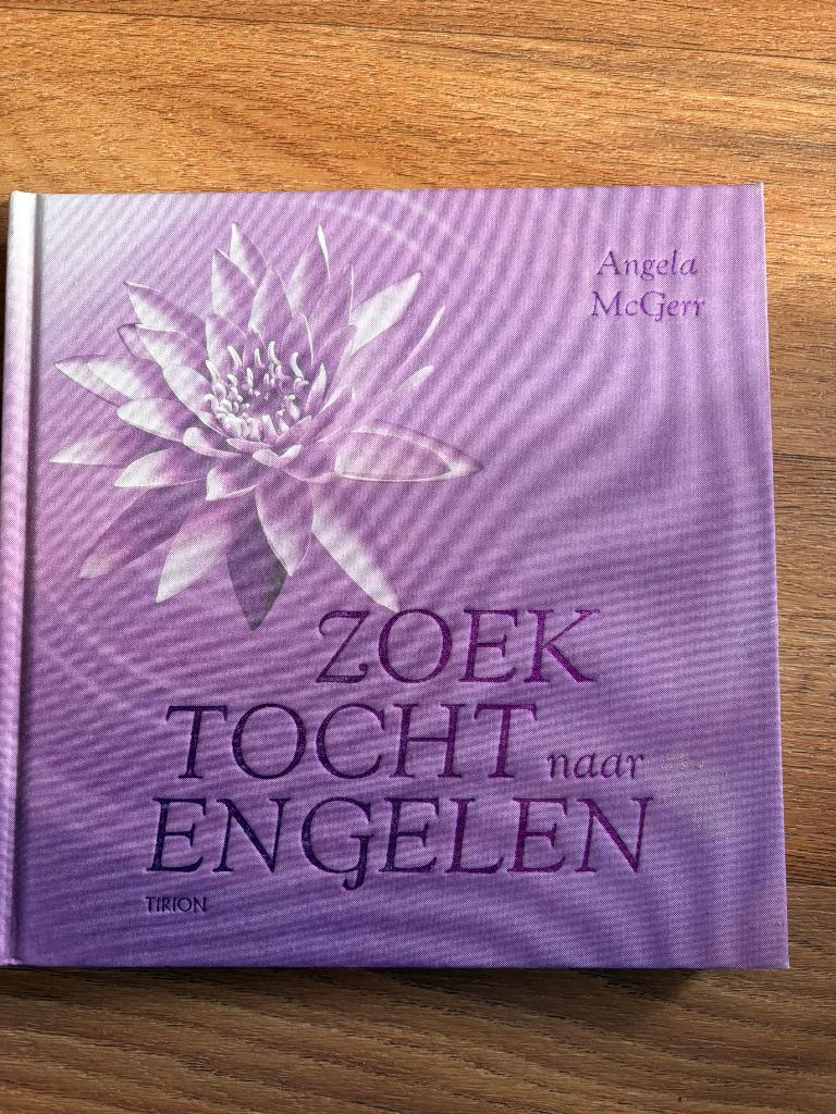 Zoektocht naar engelen Angela McGerr, Boeken, Ophalen of Verzenden, Zo goed als nieuw, Tarot of Kaarten leggen, Overige typen