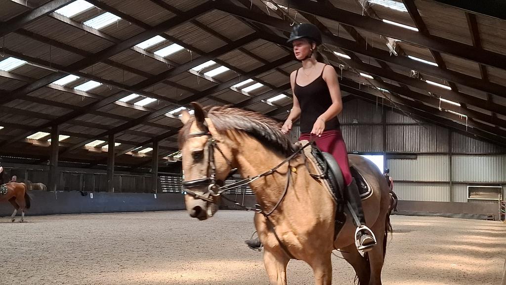 Bijrijder aangeboden