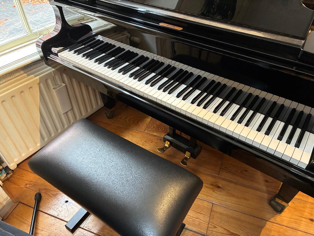 vleugel, Ophalen, Gebruikt, Zwart, Hoogglans