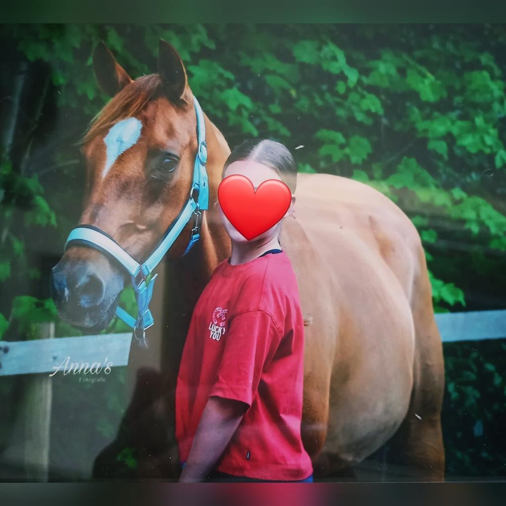 Verzorgster aangeboden/Verzorgpony gezocht, Ophalen of Verzenden, Nieuw