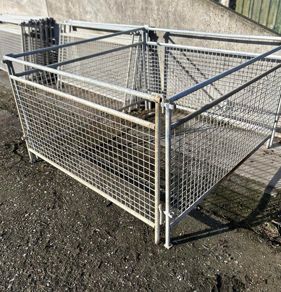 Schapenhekjes/ hekjes, Meerdere dieren, Schaap